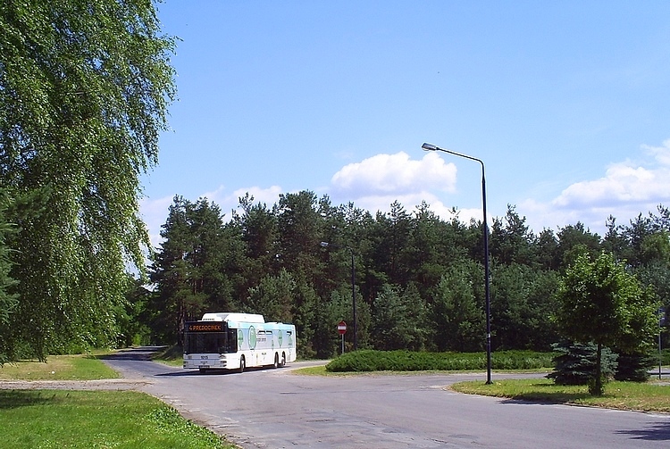 MAN NL313-15 CNG #1015