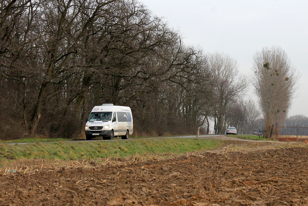 Mercedes-Benz 516 CDI / Polster MB Sprinter #PZ 467CU