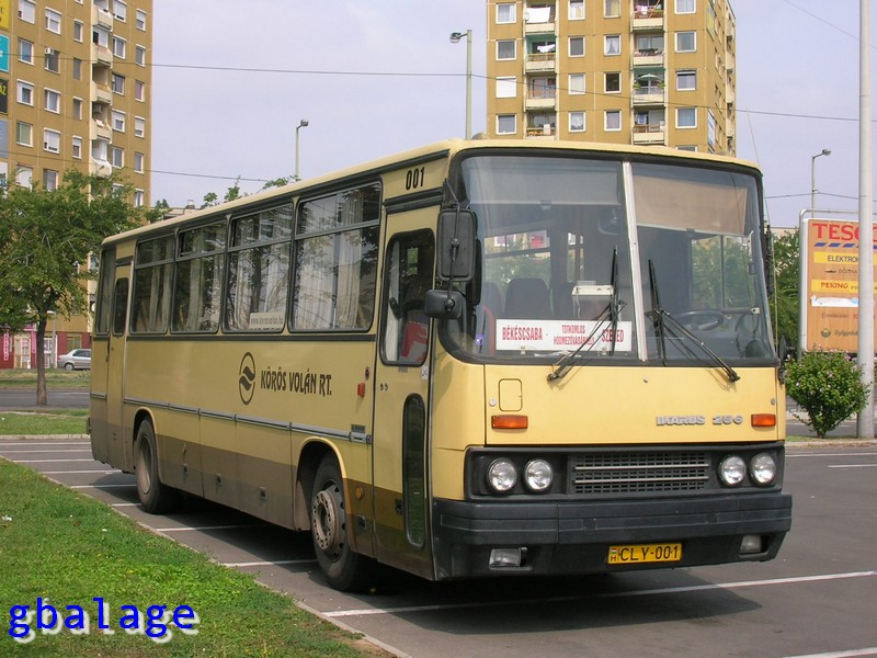 Ikarus 256.21 H1 #CLY-001