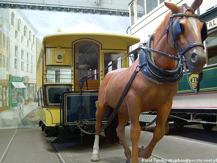 Milnes Horse Tram #8