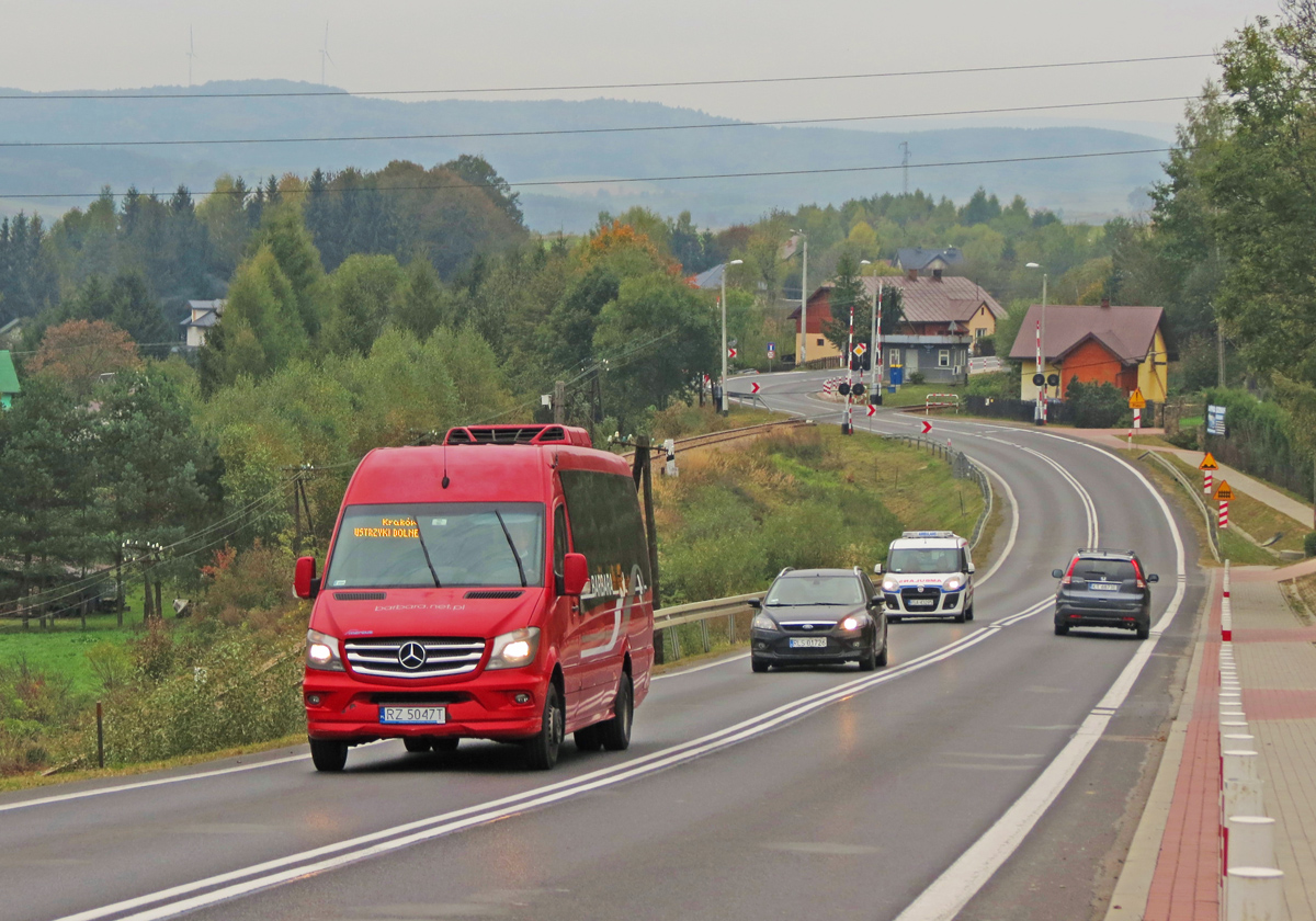 Mercedes-Benz 519 CDI / Mercus MB Sprinter #26