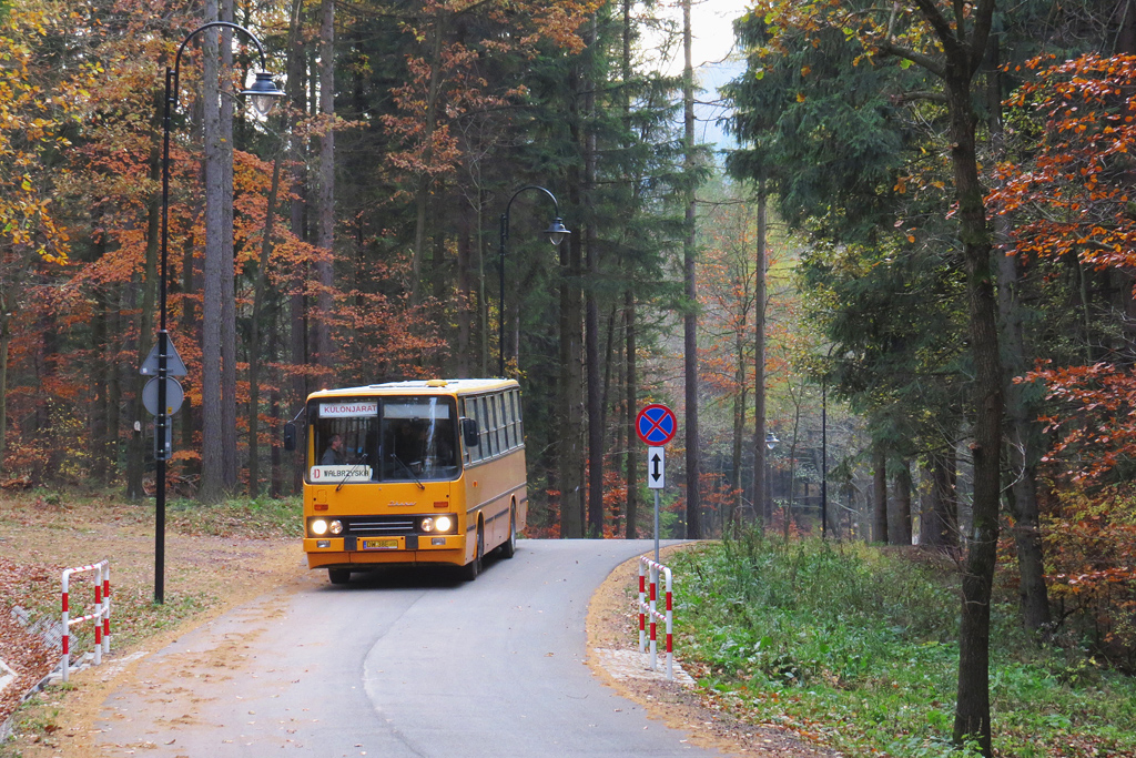 Ikarus 260.32 #40502