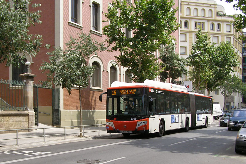 Irisbus 491E.18.31 GNC / Castrosua CS-40 #6309