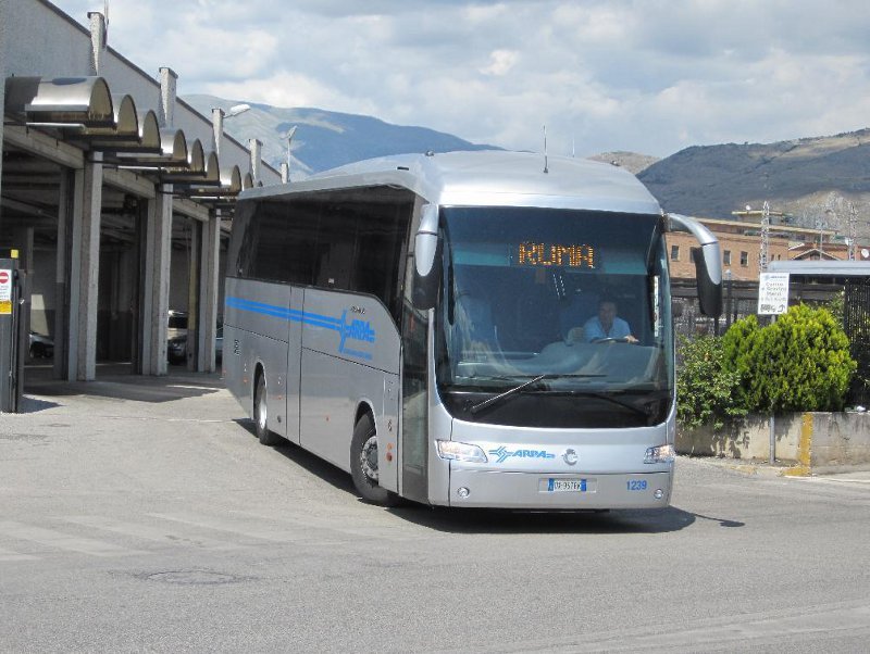 Irisbus Domino HD #1239