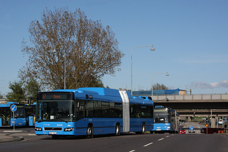 Volvo 7700A CNG #803