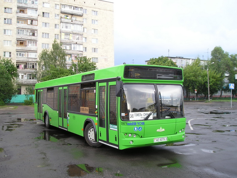 МАЗ 103465 #AE 6079-3