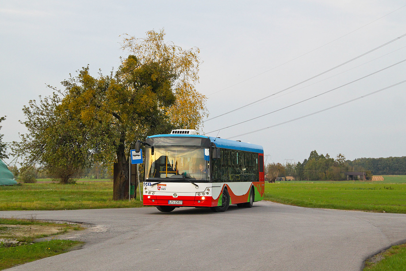 Solbus SM12 #165