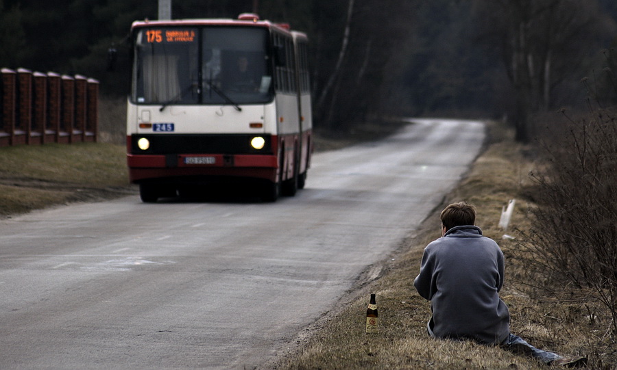 Ikarus 280.26 #245