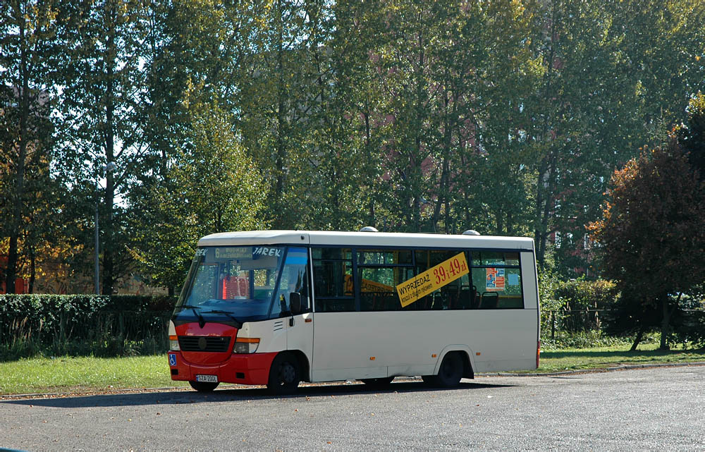 Jelcz M081MB3 #145