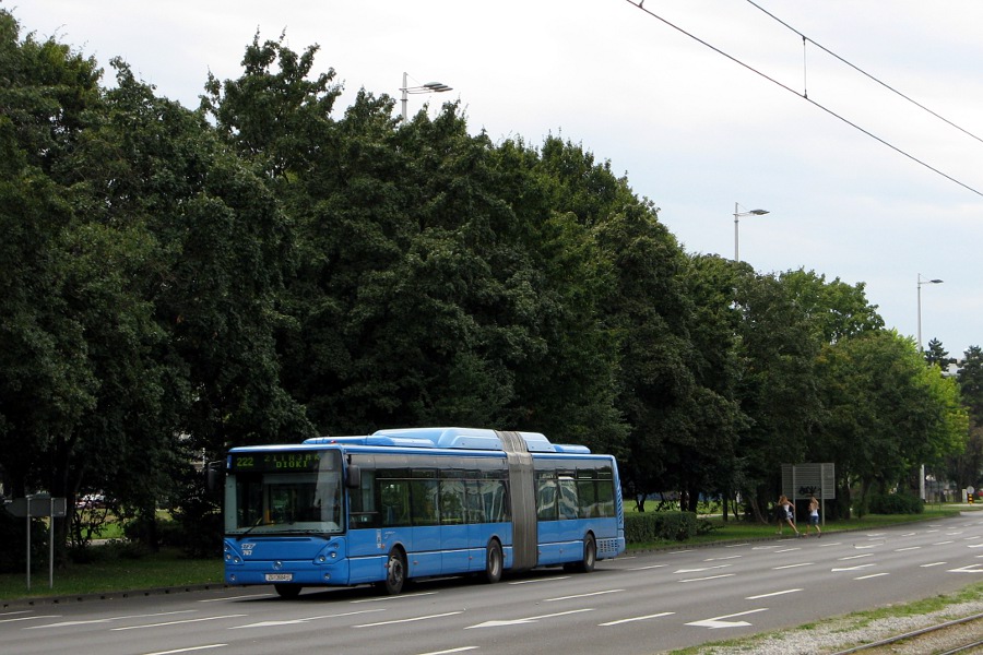 Irisbus Citelis 18M CNG #767