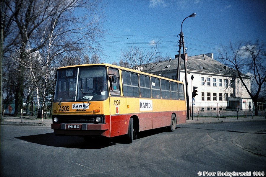 Lipetsk region, Ikarus 260.43 # 294 — Bus Transport