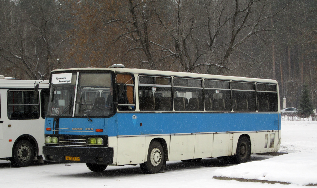 Ikarus 256.74 #АЕ 232 24