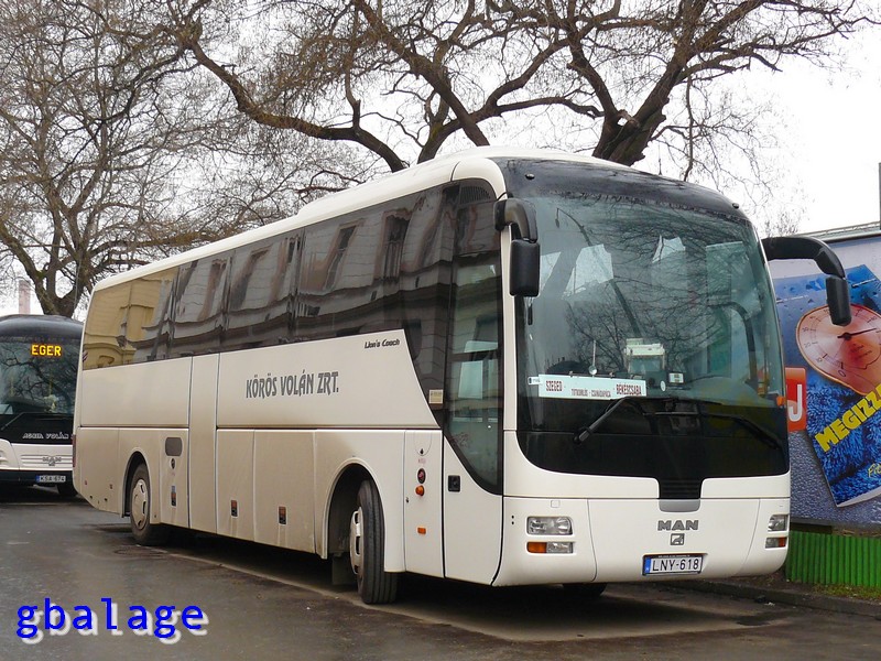 MAN R07 Lion`s Coach (2002) #LNY-618