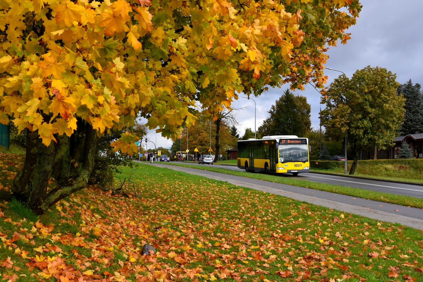 Mercedes-Benz O530 #90511