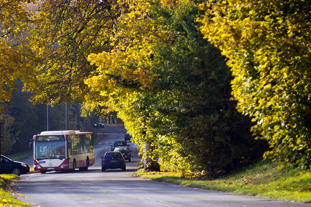 Mercedes-Benz O530 #754