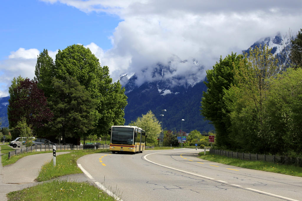 Mercedes-Benz O530G #136