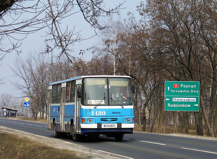 Ikarus 260.04 #1480