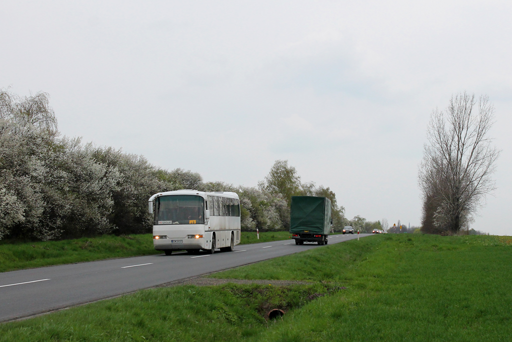 Neoplan N316 K #DSW 36321