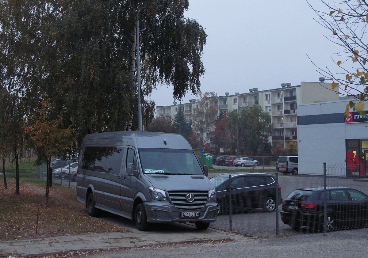 Mercedes-Benz 519 CDI / Goluchmerc MB Sprinter #EPI 5TP8