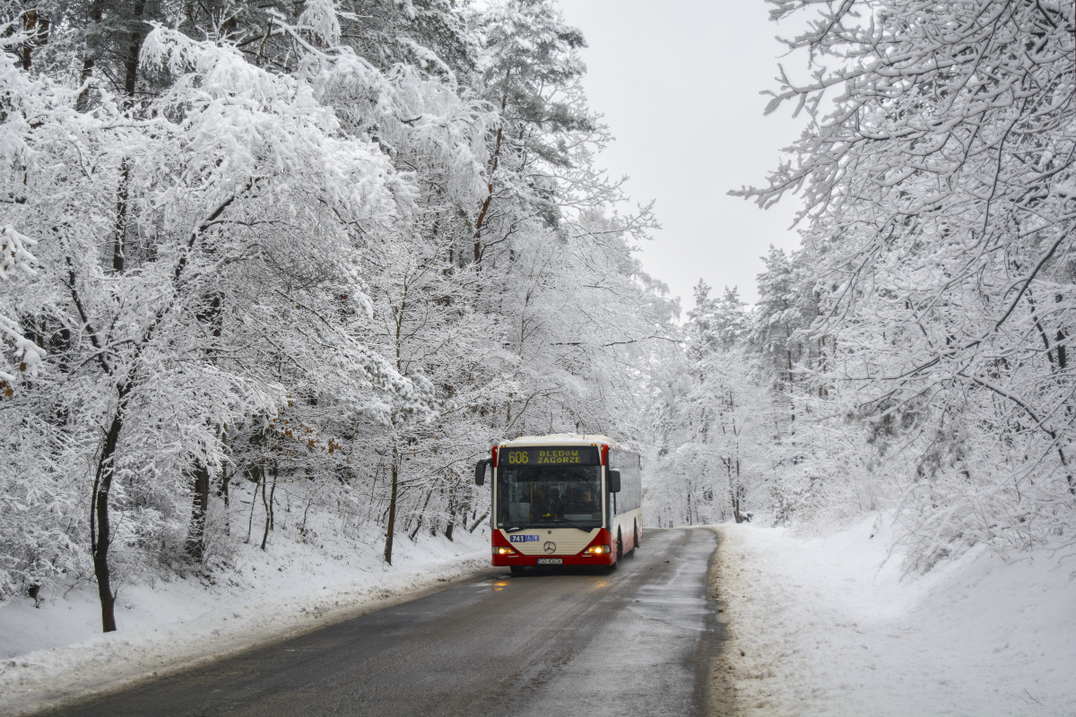 Mercedes-Benz O530 #741