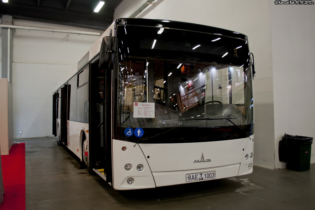 МАЗ 203069 #8AE T 1003