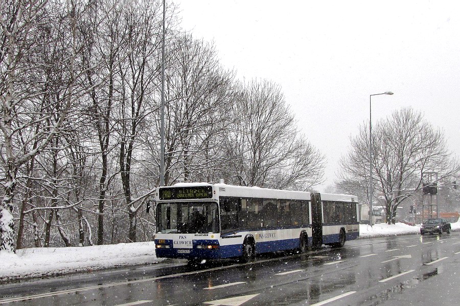 Neoplan N4021 #522