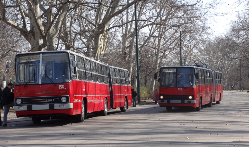 Ikarus 280.94 #229