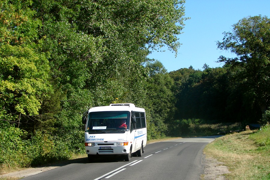 Iveco Daily 65C13 / Kapena Thesi Intercity #205052