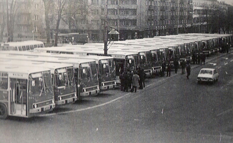 Ikarus 260.01 #264